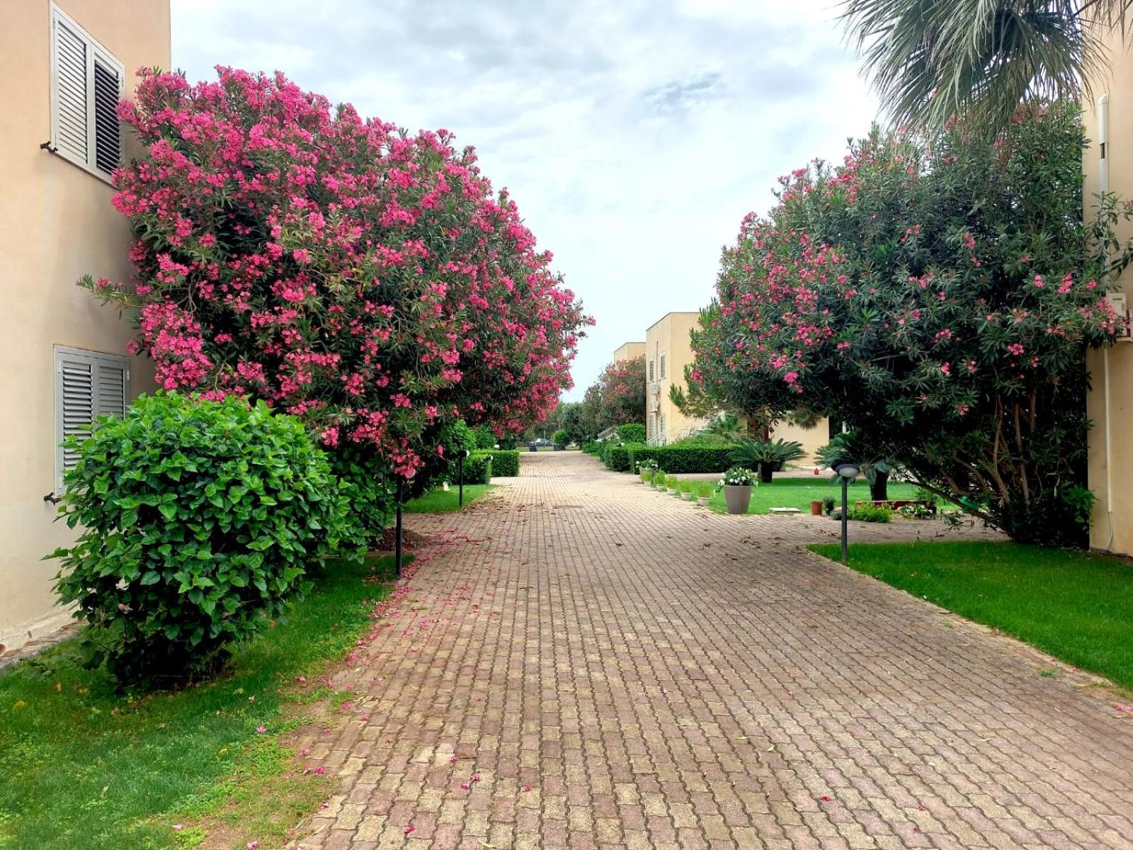 Giallomare Aparthotel Marzamemi Εξωτερικό φωτογραφία